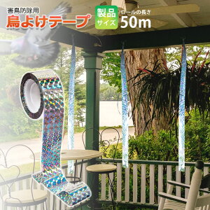 2{悯e[v 50m 悯 JX悯 炷 JX΍ Q΍ h ObY ݂艺  K[f Ƃ悯  JX  XY 悯 hzOe[v ؉ ʎ c 