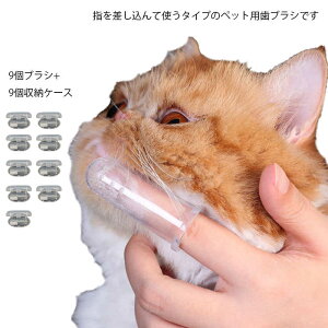 9Zbg ybgp wuV VR \tguV [P[Xt o puV   L ˂  \tguV 炩  ybgpuV wTbN^Cv ^ 