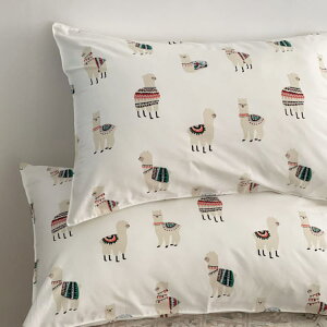 Jo[ 48×78cm RۖhL t@Xi[ sP[X  D ܂Jo[  􂦂   GR Ђ zedl e wA g  Jo[ Q 炩 _炩 ̓ 