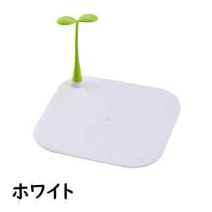 rJo[ raJo[ r W ӂ 15cm VR lp VN C  ʑ oX^u oX[ Lb` h rpi hL h 킢  ֗ACe Lb