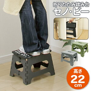 ! ܂肽ݓݑy22cmzZmEr[ LGV[Y ω׏d150kg [5cmȉ RpNg[y  ݏ Xebv   y  ~ ֗ObY z 80S ZmE