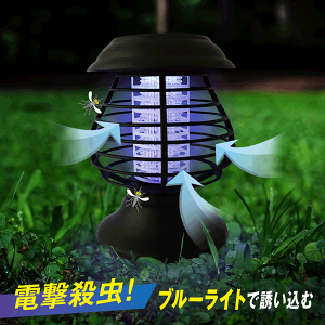 dE^K[fCg E \[[[d \[[Cg u } ݂艺 h ĕWy ECg E LEDCg z[d LED^ Q  ܂Ƃߔ z //60