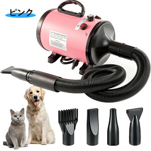 p hC[ 4mYt ybg @ Ck wAhC[ L  [ Ɨp  u[  ybgp @ iKx x\ u[ ጸ Ɩ