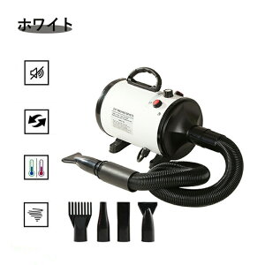 p hC[ 4mYt ybg @ Ck wAhC[ L  [ Ɨp  u[  ybgp @ iKx x\ u[ ጸ Ɩ