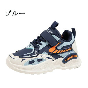 LbYV[Y ^C ʊwC qC LbY Xj[J[ ʊw jOV[Y qǂ ̎q j̎q RۖhL ₷ Cws nCLO ct v[g