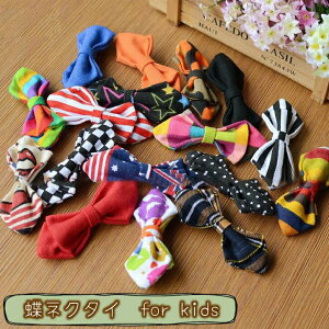 lN^C qp LbY xr[ j̎q ̎q { Ss 킢    hbg {[_[ PF jZbNX p[eB[ ߂ t@bV