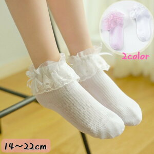 V[g\bNX qp C [Xt { Ԃ LbY  ̎q 킢 L[g n Vv i ct wZ WjA t@bV   w 