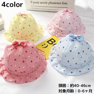 N[nbg gnbg xr[ Ԃ qpXq  TCY߉\ { t hbg UV Ă O΍