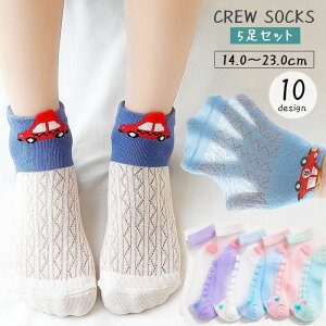 N[\bNX C 5Zbg LbY WjA qp j̎q ̎q  V[g  ʋC V[X[ 킢  ʊw ʉ