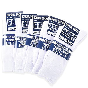 nC\bNX XN[\bNX 5g C qp WjA LbY  2124cm ʊw w wZ w wZ Vv n PF \bhJ[   ̎q j̎q  j 