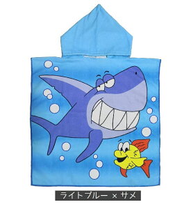 bv^I qp t[fB^I ւ|` ^I t[ht r[`^I oX[u 60×120cm LbY WjA v[ r[` C vg LN^[   