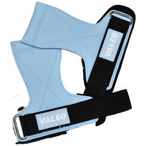 p[Obv g[jOO[u EGCgg[jO ʃt@Xi[ ؃g ͕⏕ Xgbv ɂ Œ ی x`vX⏕  _x tBbglX ^