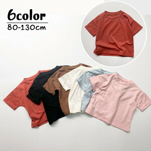 TVc  LbY xr[ q j̎q ̎q i` n PF XuH ےn gbvX Jbg\[ N[lbN hbvV_[  킢 JWA fC