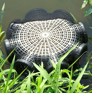  8 d| ߊl ނpi ` ی^ Ȃނ Jjނ ނ i ߊl ȒP tBbVOpi JS  AEghA Lv  V