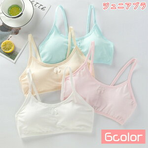 WjAu uW[  Ci[  mC[ n PF Vv w w w LbY pXeJ[  킢 ̎q { JWA