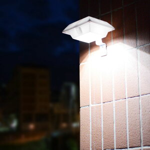 _}\ P{^\[[肷胉Cg OhKiCg LEDK[ftFXXebvCg Ǐ铔 OƖ  ƒp IPh Px _/