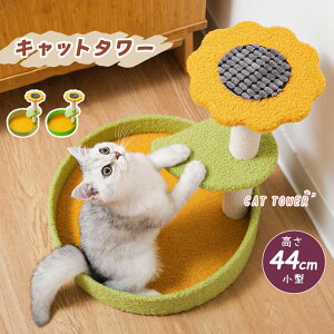 Lbg^[ u ܂Ƃ  |[ ^ 44cm t[ ԕ ܂Ƃ W] ^ qL VjA ^s L gݗ ݒu ȒP L ˂X ȃXy[X RpNg L yb