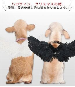 Vg̉H ybgRXv nEB   ybgEBO ʔ ybgpRX`[ ȒPE RX`[ p[eB[  ϐgObY Be RXv  