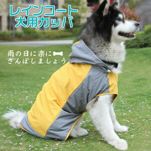  CR[g ^ ^ ^ Xqt C[W[CR[g J CR[gWPbg pJbp ʋC Xqt Up h EȒP ~J΍ O[ p |` ybg