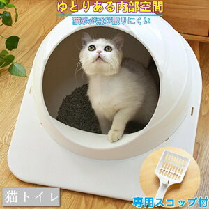 LgC lRgC Xy[XJvZ h[^ L gC lRgC LpgC   юUȂ ɍcȂ F `