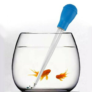 yLO16Bz p X|Cg u[ | ANAE u _J S S  R 킢  ybg t W ώ@ ɐB v[g {B ₷ ی 