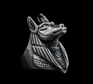 AkrX GWvg p CpNg Vo[ANZT[ Y Vo[O w Vo[ YANZT[ Y  w Aj}fUC ubNJ[dグ Y 