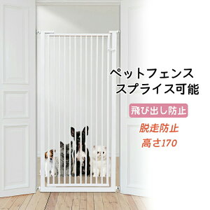 ybgtFX ybgQ[g hAt y K[h[ Ԏd؂ яoh~ XvCX\   gݗ nC^Cv I[gN[Y@\t p L Eh~ Q[ghA   