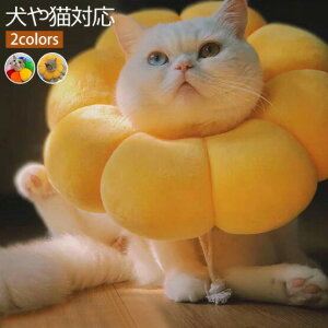 Aj}lbJ[ L  jbg sN t[`[t ybgplbJ[ GUxXJ[ ȒP \tgGUxX y 炩 Ђh~ pPA x^ ^ ^ 