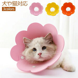 y zAj}lbJ[ |bv y15`36cmpz yʃ|GXe sN F IW ybgplbJ[ GUxXJ[ ȒP \tgGUxX y 炩 Ђh~ 