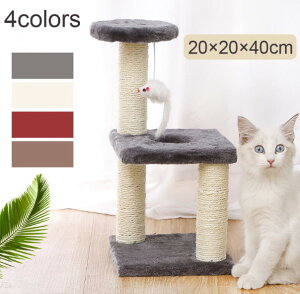 Lbg^[ X  u ܂Ƃ   u lC ^s   ˂ ܂Ƃ ܌ 킢 R