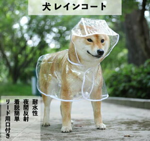  CR[g EȒP ̃[hpI[vt J J ybgpJbp 킢 ^ ^ Č ϐ ˍ Ԕ ~J΍ 悯΍ yzCgz