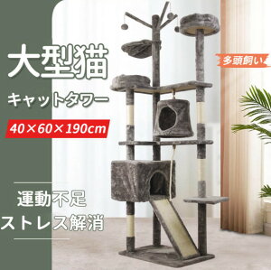 Lbg^[ L^[ ^L X ܂Ƃ  u^Cv Vя  ^s VRTCUR o~肵₷ LnEX ȃXy[X LnbN Lh