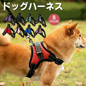 n[lX ɂ q c V ^ |jA ` Č t`uhbO U ObY   ^ ^ ^ E₷ Ȃ  p ybg 