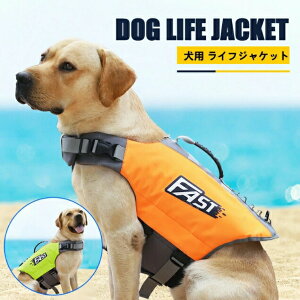  CtWPbg  C[W[hbO ybg ^ ^ XCEFA  hbOEFA ^CtWPbg S M L XL S S ̖h~  CȂǂ̐VтɍœKI C