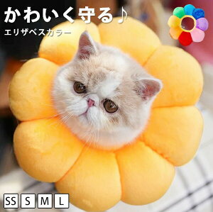 GUxXJ[ h[ic \tg GUxX NbV GUxX J[ z  L rߖh~ 25cm Lp NbV p \tg^Cv 킢 LObY ObY ӂӂ 炩 