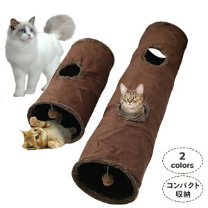 L gl 2TCY  ߋ lC ||t Lbggl ܂肽ݎ RpNg gl ybg xbh nEX IV XgXU ^s Lp L̂