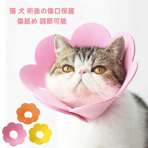 y3ZbgzL  p̏ی r ߉\ \tg GUxXJ[  L ^p y  \tg EVAf S M L ybg p  lGKp