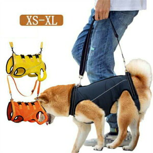   n[lX Sg s⏕ pi pn[lX Ȃ Vn[lX s⏕n[lX p Sgn[lX bVf ėp VjA ^ ^ ^ s ⏕ 