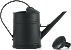 k傤 ȃuLWE 2L pIȐUp WE uL W[ 킢 (zCg,2L)