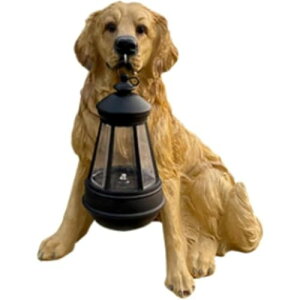 \[[CgtS[fgo[OAz[K[fhvAAȌ̒ȗA\[[^t̒̒ (B)