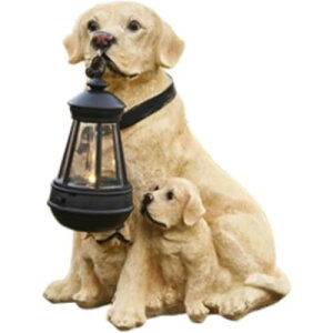 \[[CgtS[fgo[OAz[K[fhvAAȌ̒ȗA\[[^t̒̒ (B)