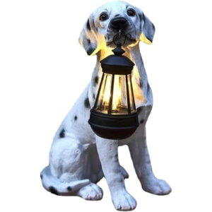 \[[CgtS[fgo[OAz[K[fhvAAȌ̒ȗA\[[^t̒̒ (B)