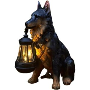 \[[CgtS[fgo[OAz[K[fhvAAȌ̒ȗA\[[^t̒̒ (B)