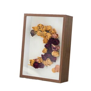 z ʐ^ ̃tHgt[ 4TCY 󗧑5 {bNXt[ zt[  ʐ^ hCt[ W{ tBMAP[X  a j ()