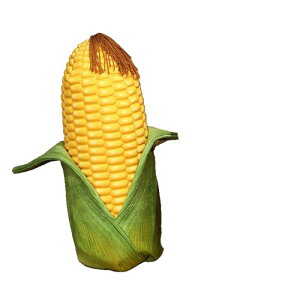 ������ �Ƃ����낱�� ��؃N�b�V���� �ʂ������ �X���� �w������ �I�t�B�X�p �ۈ牀 ��؂ʂ������ �Ƃ����낱�� ���킢�� �_�炩�� �ӂ�ӂ� ���� �����O�� �O�b�Y ���l�� �B�e���� ���Q