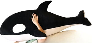 ʂ 傫ʂ  V` ObY ܂ V` ʂ 傫  _炩  Cm A NbV YQ bNX  YQ 