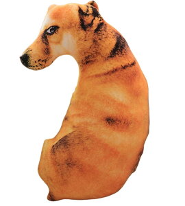  ʂ _VA  傫 3D  A {  Ck  킢  C @\ w Mtg _VA 3D q 50cm  