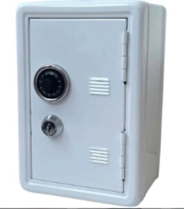 q̒A~jLbV{bNXAMtgɁAtpX[hALbV{bNX[AQ̃bJ[ (ubN)