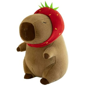 JsõJsol`NGnʂݎO\bN_YQl`ޏ̒av[gF (30CM,B)