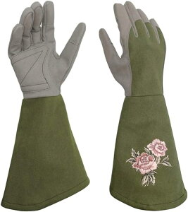 K[fO[u |p o O gQh~ v K[fjOO[u  fB[X